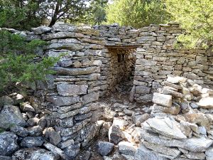 The tiny 'front garden' and the door to the house