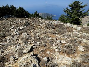 .... and another view of the threshing circle