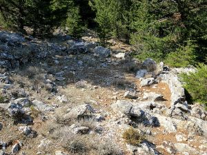 The second threshing circle just below the enclosure