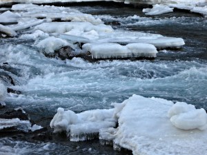 Close look at the vigorous flow