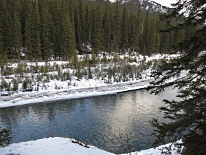 Looking across the Spray on a slow flowing section 