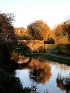 Autumn gold reflecting in the Abergavenny-Brecon Canal, the south east boundary of the National Park
