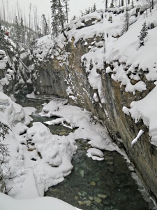 The beginning of the canyon, rock walls about 20-30 feet high, open water below