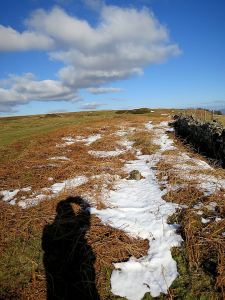 Remnant of snowdrift in the lee of a stone wall
