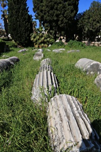 Marble columns almost lost in the vegetation