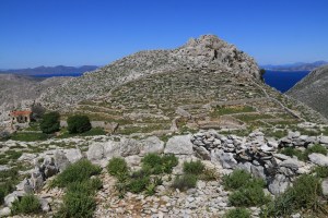 Looking from threshing circle across the pond and the vegetation at the bottom of the settlement to the crag behind which it all hides 