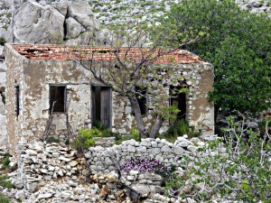 The abandoned house within the enclosure