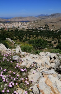 Looking across Vipers Grass, convolvulus to the Pedi Valley, windmills above Horio .... and turkey beyond
