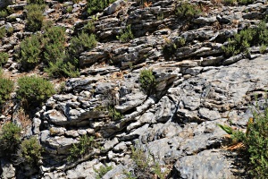 The rocky path crosses a steep gully