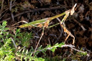 but closer examination tells a different story