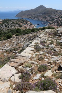 Looking down the stone-edged kalderimi to the harbour, cushions of thyme growing in the middle