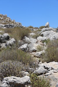 Reading the ground, this is a very clear way from the low point on the valley floor up to the enclosure with a very definite stone-on-a-rock marke