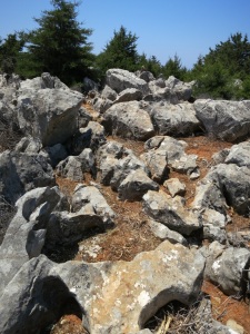 Path meandering between and over eroded limestone