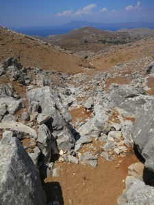 Standing at the top of the drop down the gulley