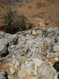 The height of the drop can be judged by the width of bed of the gulley below