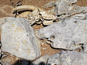 A warning – getting it wrong can be terminal, even for professionals