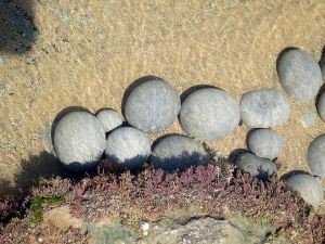 Some of the rock-pools are formed against an edge of rock with a sandy bottom