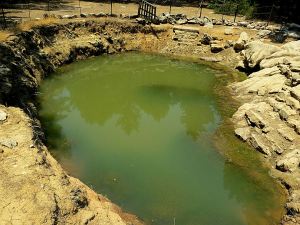 The permanent pond alongside the old pathway