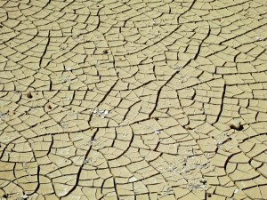  ..... the low point of the floor of the crater apparently used to be a lake, lost during a recent eruption/tremor, now dried and cracked sulphur-coated mud