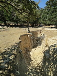 Part of the fissure which opened up in the tremor of 2003
