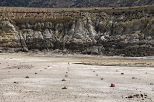Looking across the crater floor of Stephanos with the red-painted matrix of marker stones