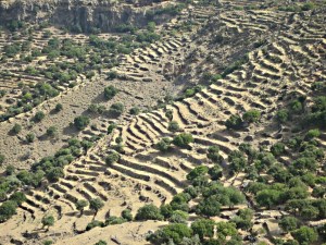 Looking towards the north, narrow agricultural terraces stretching from caldera floor to rim