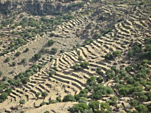 Looking towards the north, narrow agricultural terraces stretching from caldera floor to rim