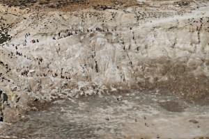 ..... and at maximum zoom on the SLR (x200) the trail of trippers mark the path down to the floor of the cater