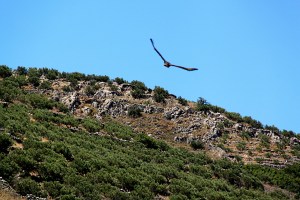 12MesaMani038w6917jpg